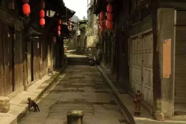 ͼƬ
