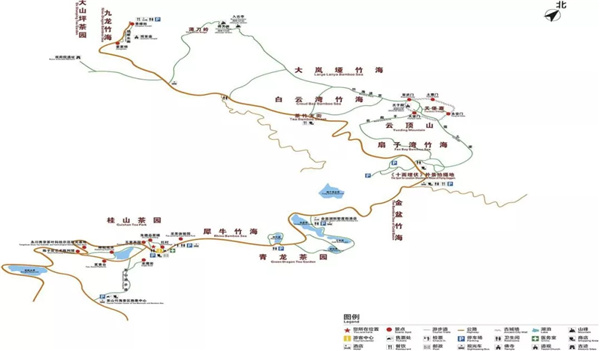 茶山竹海地理位置图片