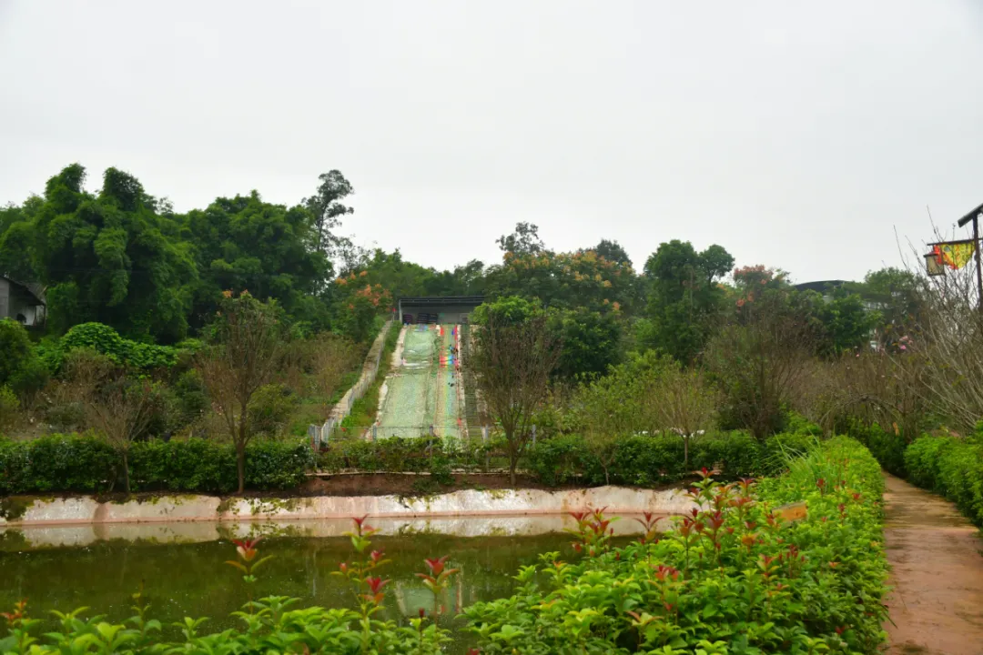 花田牧歌生态园图片