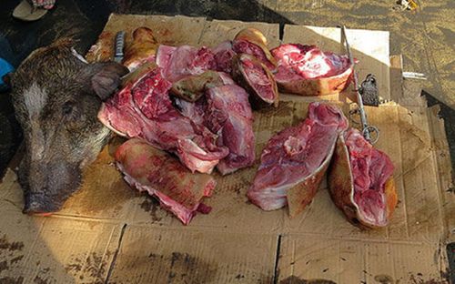 现在野猪肉可以吃了，重庆野猪肉大量批发。喜欢土货的朋友都可以联系我们