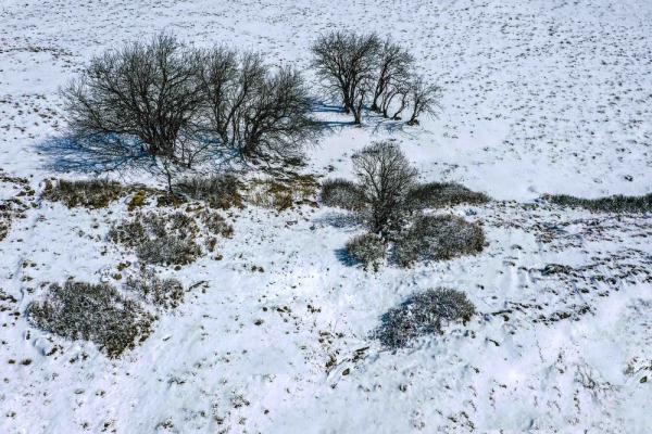 ������Ϫ����ѩ���� ѩ�����续