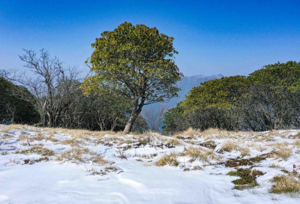 ������Ϫ����ѩ���� ѩ�����续