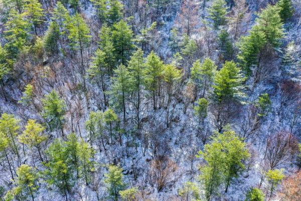 ������Ϫ����ѩ���� ѩ�����续