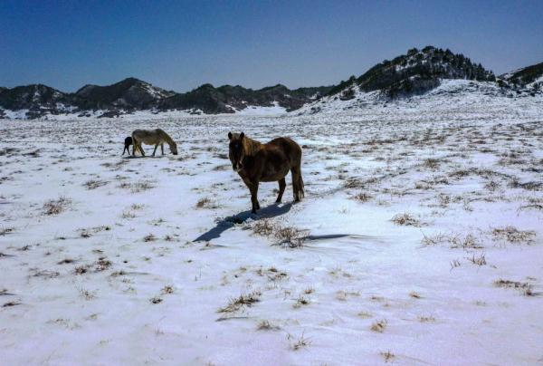 ������Ϫ����ѩ���� ѩ�����续