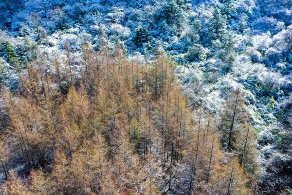 ������Ϫ����ѩ���� ѩ�����续