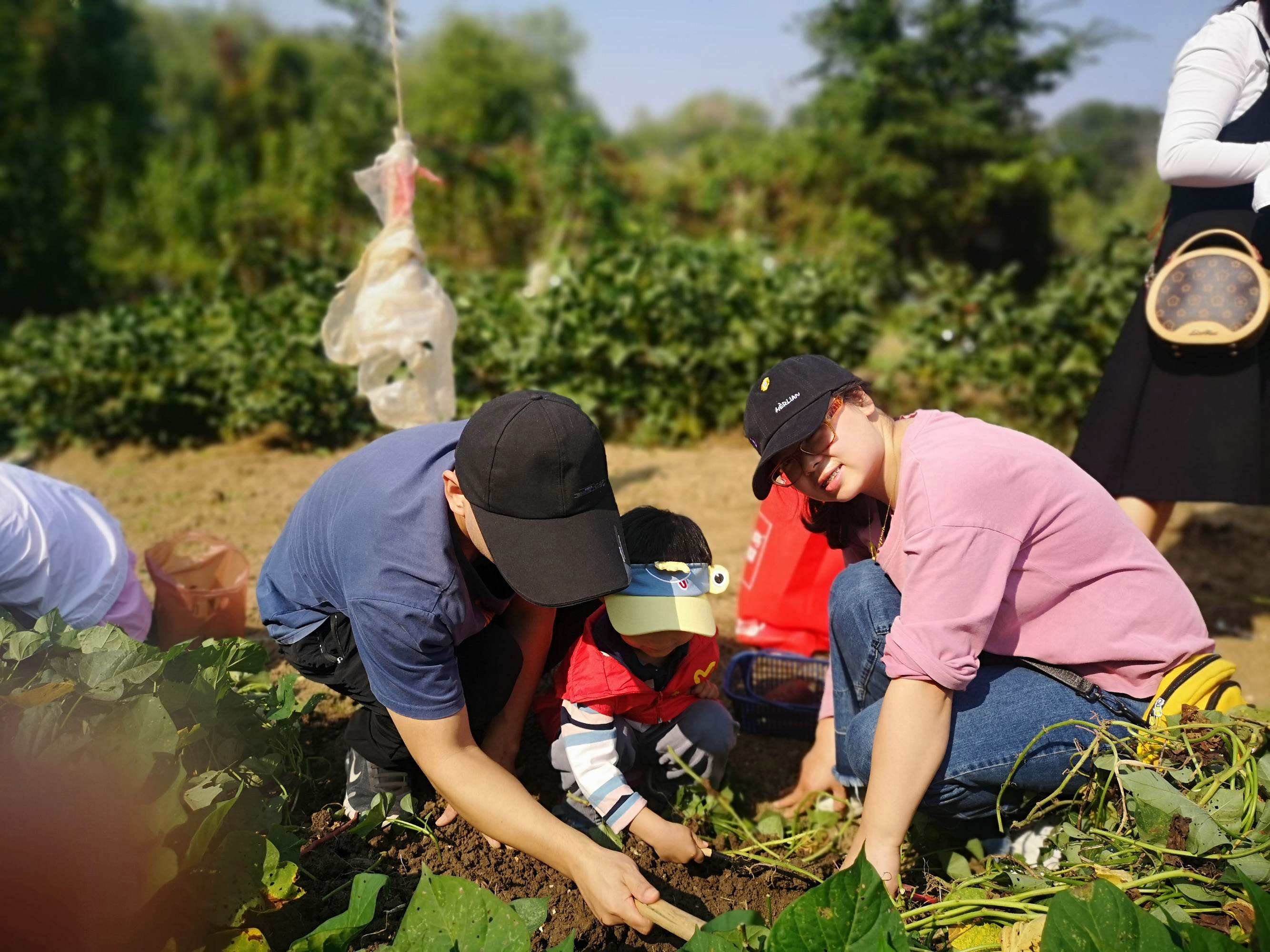 �����ܱߺ��������<a style=color:#FF0000 href=https://www.3-v.net/art-10-3-yw.html?dq=>ũ����</a> �����ܱߺ��������<a style=color:#FF0000 href=https://www.3-v.net/art-10-3-yw.html?dq=>ũ����</a>�ط�