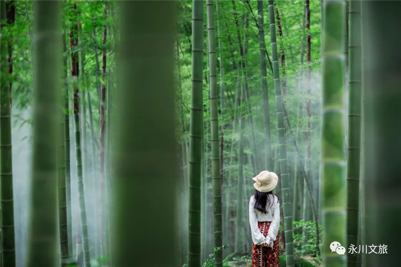 ��ɽ��Ϊ����顢�������
