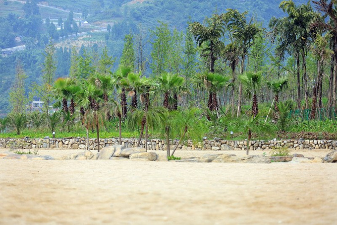 ���ɺ���ɳ̲ͼƬ