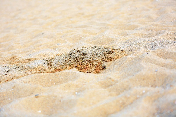 ���ɺ���ɳ̲ͼƬ